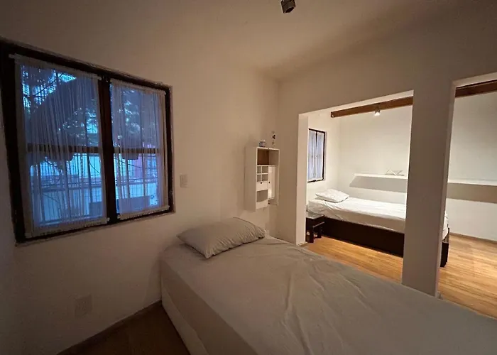 Casa Tradicional En Coyoacan Mexico City