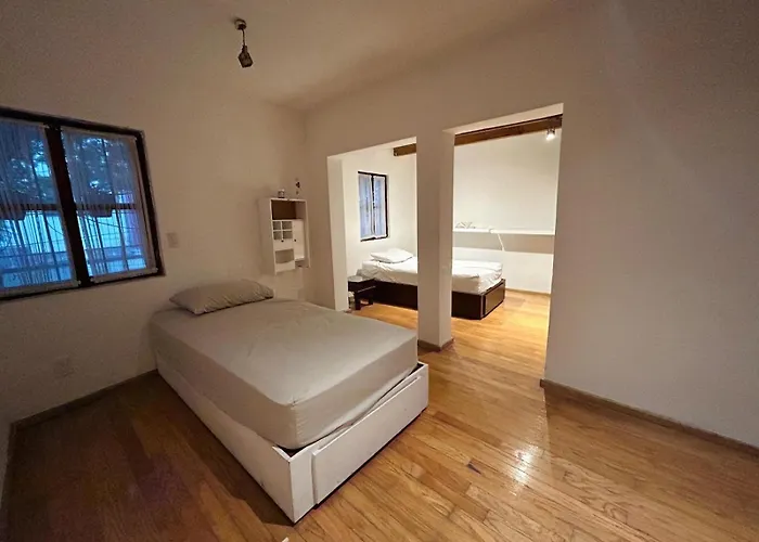 Casa Tradicional En Coyoacan Holiday home